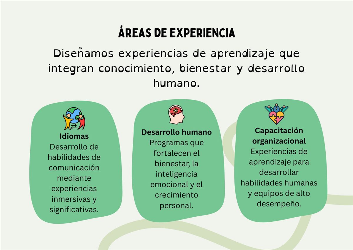 Áreas de experiencia